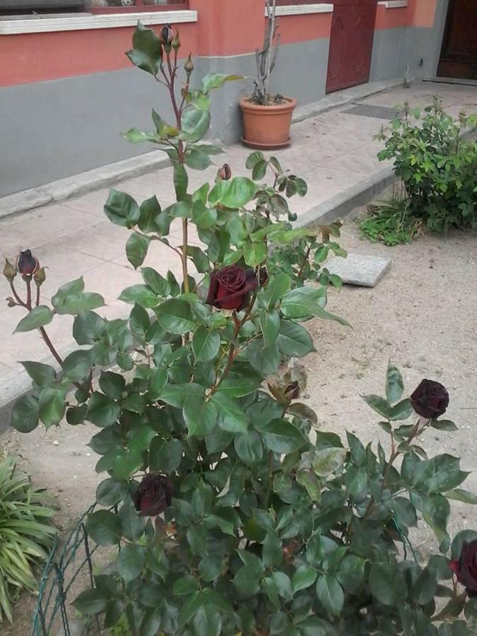Bed and Breakfast Perbacco Sartirana Lomellina Zewnętrze zdjęcie